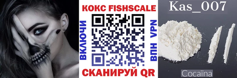 Cocaine FishScale  купить наркотики цена  Ефремов 