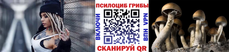 Галлюциногенные грибы Psilocybine cubensis  Ефремов 