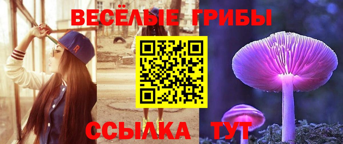 Галлюциногенные грибы прущие грибы Ефремов